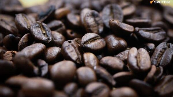 La Chine va autoriser l'importation de café en provenance de 53 pays africains à partir du 20 juillet - Sputnik Afrique