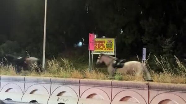 Quand des chevaux de parade bloquent une artère de Rome - Sputnik Afrique