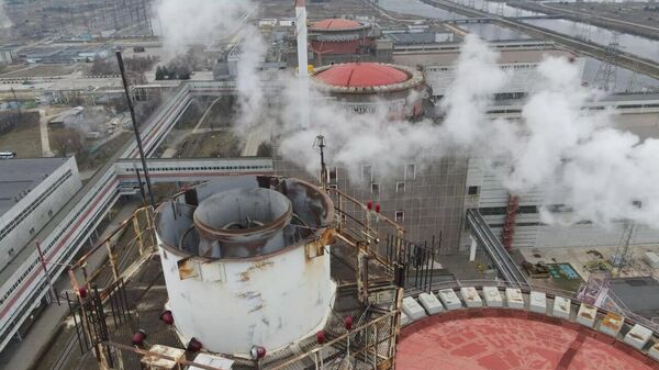 Ukrainian strikes on Zaporozhye Nuclear Power Plant could trigger radiation disaster - Sputnik Africa