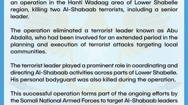Somali Army Eliminates a Senior Terrorist Leader: MoD - Sputnik Africa