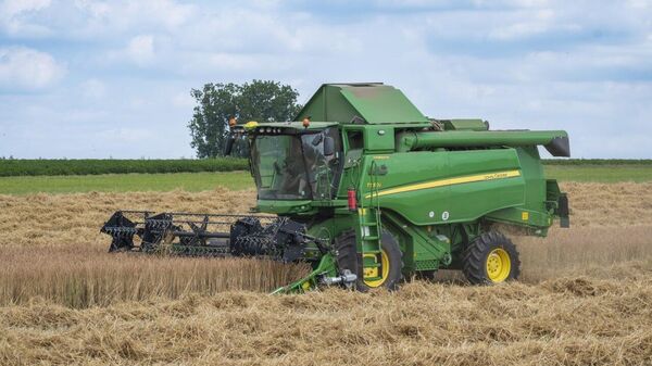 Russian Wheat Exports to Kenya Surge 10%, Reaching 1 - Sputnik Africa