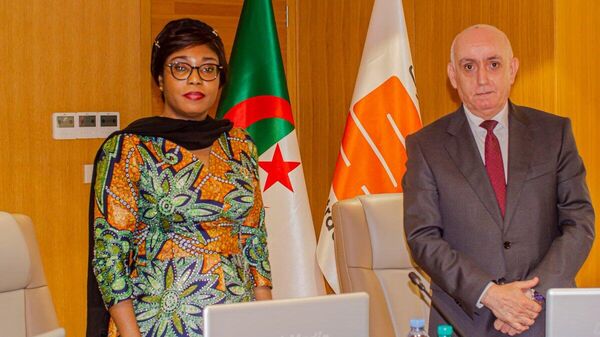 DRC Turns to Algerian Oil Company's Inspiring Model to Build Its Oil Industry: Ministry - Sputnik Africa