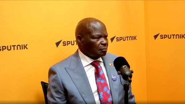 'Our Relationship With Russian Federation Has Given Us Strength,' Zimbabwean Minister Says - Sputnik Africa