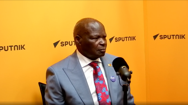 Southern African Power Pool 'is Most Advanced Power Pool' in Africa: Zimbabwean Minister - Sputnik Africa