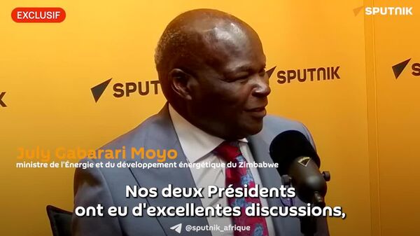 Nous souhaitons approfondir véritablement nos relations au-delà des liens entre pays - un ministre zimbabwéen - Sputnik Afrique