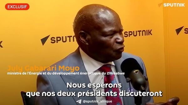 Le lien Russie-Zimbabwe concerne toute la région, et même l'Afrique tout entière, déclare le ministre zimbabwéen de l'Énergie - Sputnik Afrique