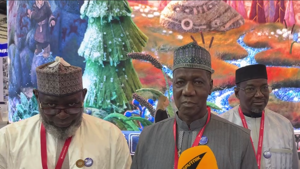 'Mali & Russia Are Developing Strategic Partnership in Several Areas': Malian Official - Sputnik Africa