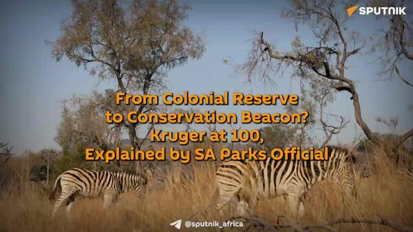 'There is No Conservation Without Inclusivity': SA National Parks Official - Sputnik Africa