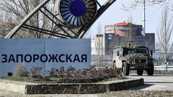 Ukrainian Forces Violate Ceasefire at Zaporozhye NPP