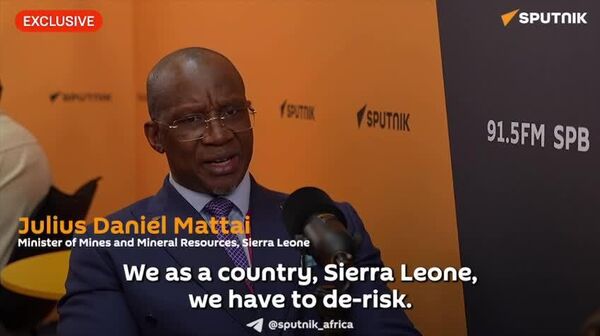 'I Believe in South-South Cooperation,' Sierra Leonean Minister Says - Sputnik Africa