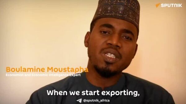 Niger Must Secure 50% Stake in Mining Projects to Ensure Country Truly Benefits From Its Resources: Economist - Sputnik Africa