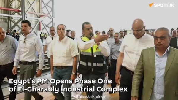 Egypt Launches First Phase of Major Industrial Complex in New Borg El‑Arab: Government - Sputnik Africa