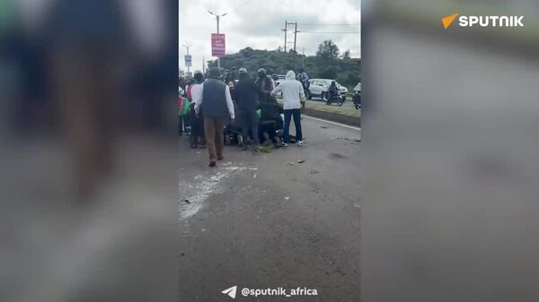 Kenyan Activist Arrested During Protest Against Controversial Nairobi National Park Development Plan: Correspondent - Sputnik Africa