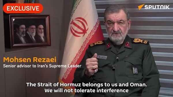 EXCLUSIVE: No third-country meddling in the Strait of Hormuz allowed — Iranian Supreme Leader’s adviser - Sputnik Africa