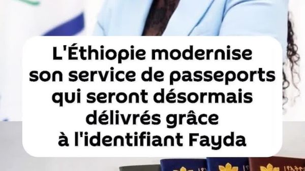 L'Éthiopie lance un système de passeport en ligne utilisant la carte d'identité nationale Fayda - Sputnik Afrique