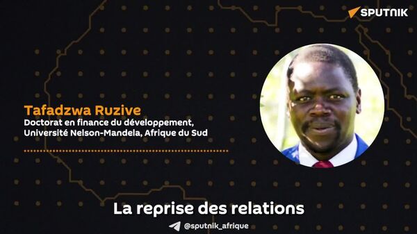 La visite de la Présidente tanzanienne en Russie renforce les liens et ouvre la voie aux investissements, selon un expert sud-africain - Sputnik Afrique