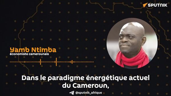 Au Cameroun, un hub sous-régional majeur peut voir le jour, selon un économiste - Sputnik Afrique