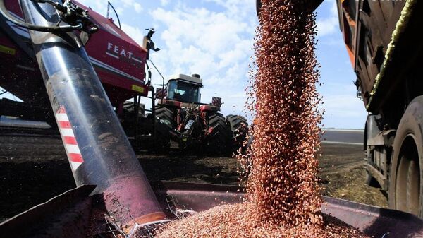 La Russie a repris ses livraisons de blé à Madagascar après une pause de cinq ans — le centre fédéral - Sputnik Afrique