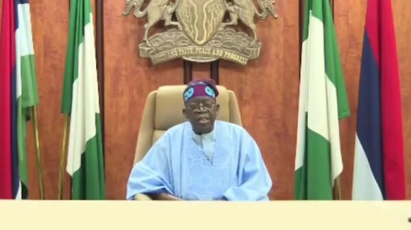 'Criticize Me, Disagree With Me, But Never Stop Believing in Nigeria': Tinubu on Democracy Day - Sputnik Africa
