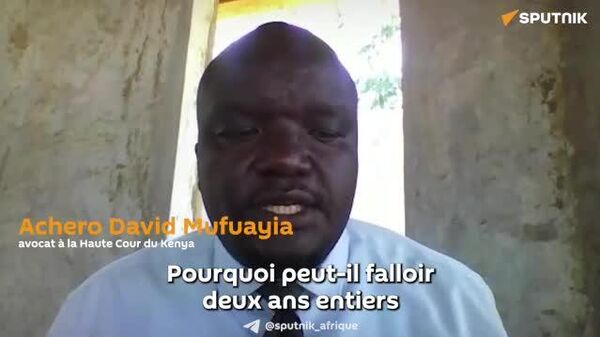 La plupart des enquêtes de la CPI ciblent l'Afrique, affirme un avocat kényan - Sputnik Afrique