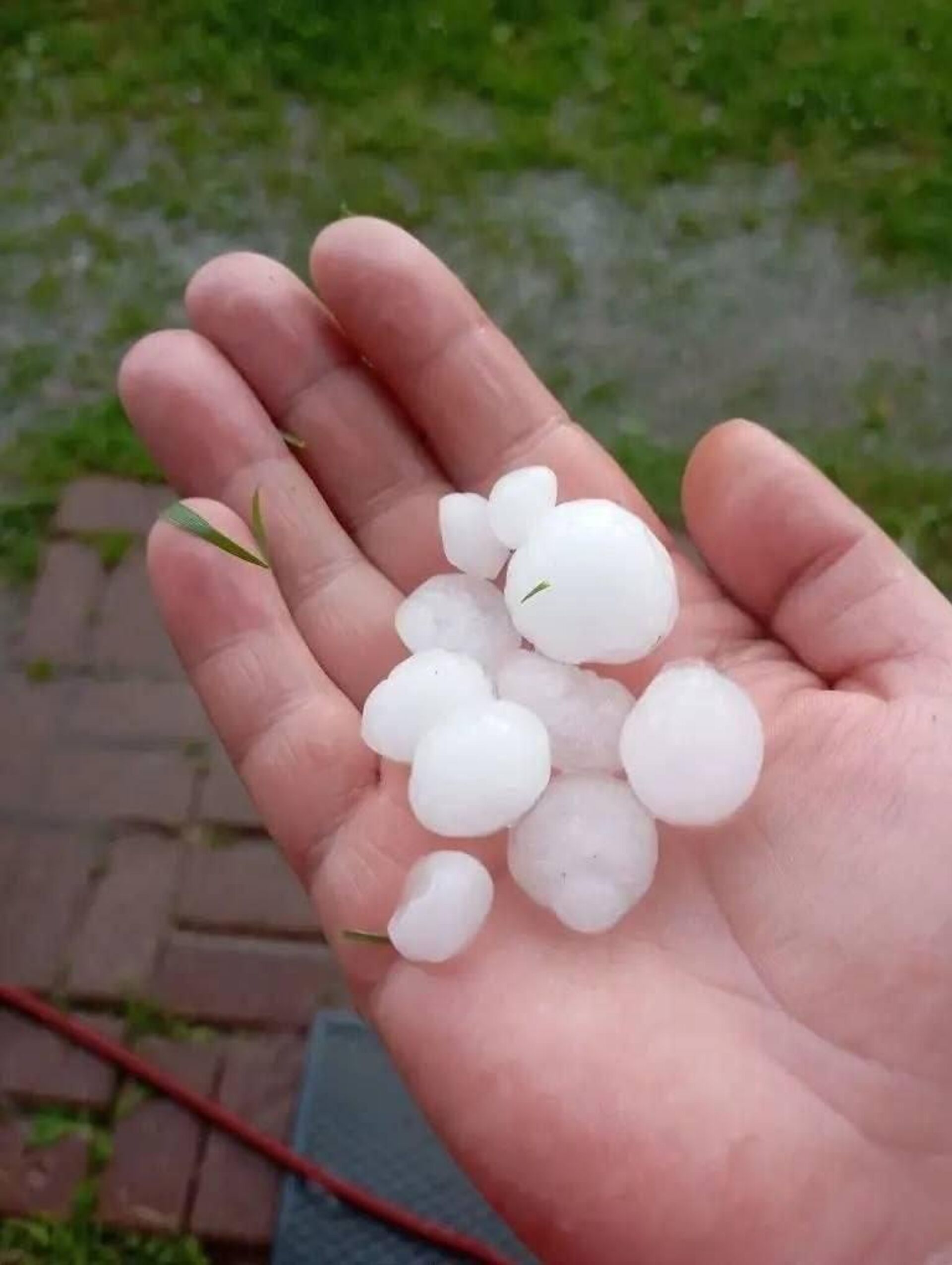 Hail Ice Pearls Unexpectedly Hit Moscow Region in June - Sputnik Africa, 1920, 13.06.2026