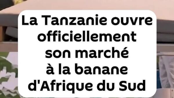 La Tanzanie ouvre officiellement son marché à la banane d'Afrique du Sud - Sputnik Afrique