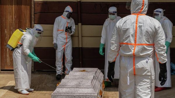 Malawi Intensifies Ebola Screening at Airports and Borders as WHO Provides Supplies - Sputnik Africa