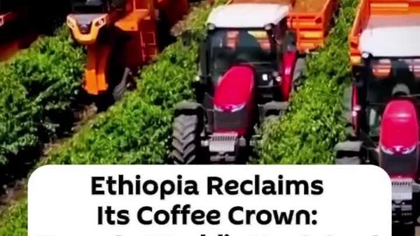 Ethiopia Reclaims Its Coffee Crown: Targets World's No - Sputnik Africa