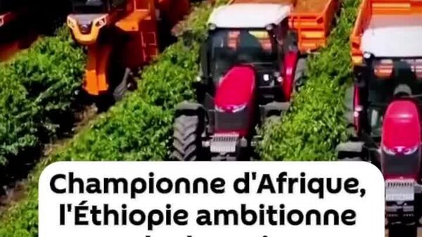 Championne d'Afrique, l'Éthiopie ambitionne de devenir 2e producteur mondial de café avec ses innovations - Sputnik Afrique