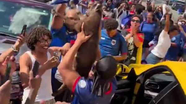 Cape Verde Fans Celebrate Into Night After Historic Draw Against Spain in World Cup Debut - Sputnik Africa