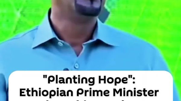 'Planting Hope': Ethiopia to Sow 8 Billion Seedlings This Year as Part of the Green Legacy Initiative - Sputnik Africa