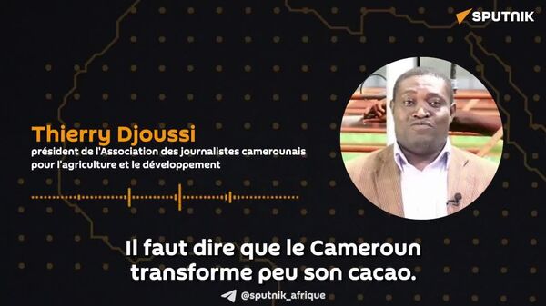 Chute des prix du cacao: la CEMAC doit sortir des sentiers battus, préconise un journaliste camerounais - Sputnik Afrique