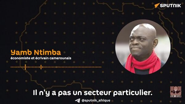 L'Afrique sous le néocolonialisme: Les Français sont les pires parce qu'ils sont arrivés jusqu'au concept de pré carré, dit un économiste camerounais - Sputnik Afrique