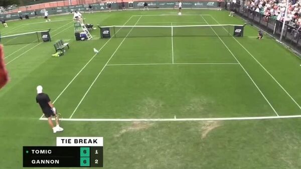 Une mouette vole une banane et perturbe un match de tennis en Irlande - Sputnik Afrique