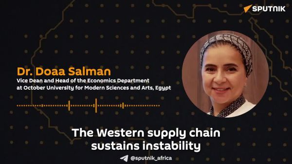 Western Economies Benefit From Instability in Resource-Rich Africa: Egyptian Economist - Sputnik Africa