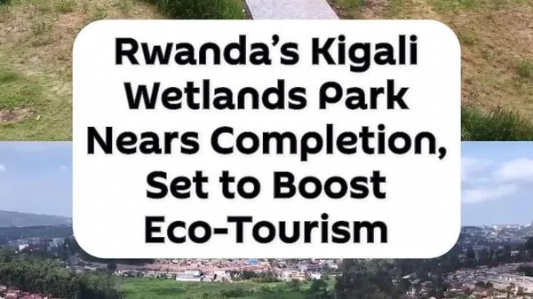 Kigali Wetlands Park Nears Completion, Set to Boost Eco-Tourism: Ministry of Infrastructure - Sputnik Africa