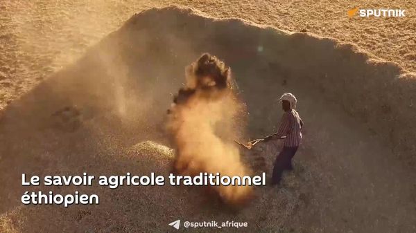 Relancer l'agriculture traditionnelle: l'Éthiopie mise sur la souveraineté alimentaire - Sputnik Afrique