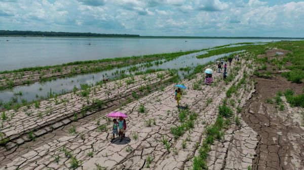 Africa Warming Faster Than Global Average: World Meteorological Organization - Sputnik Africa