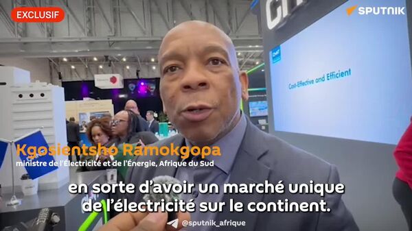 Les pays africains doivent interconnecter leurs réseaux électriques pour libérer leur potentiel économique - ministre sud-africain - Sputnik Afrique