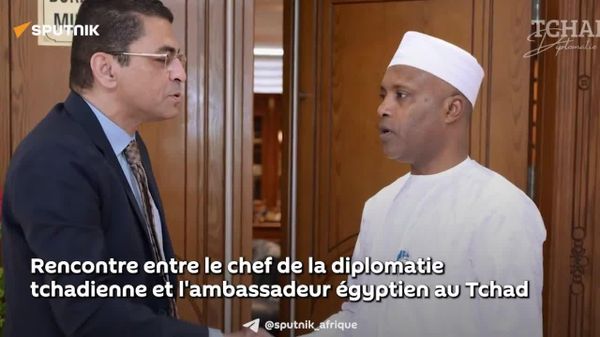Le Tchad et l'Égypte pourraient réciproquement supprimer les visas — la diplomatie tchadienne - Sputnik Afrique
