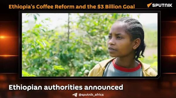 Ethiopia's Coffee Reforms Brewing Bigger Returns - Sputnik Africa