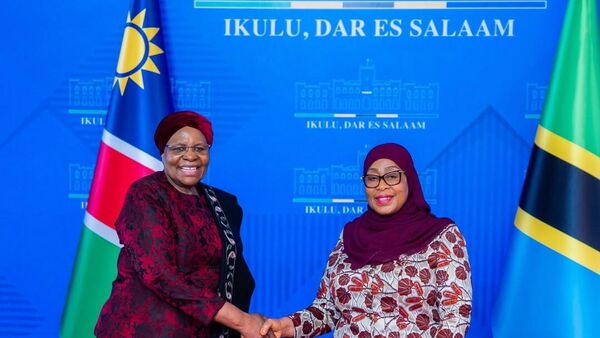 Tanzanian & Namibian Presidents Witness Signing of Four Cooperation Agreements to Strengthen Countries' Ties - Sputnik Africa