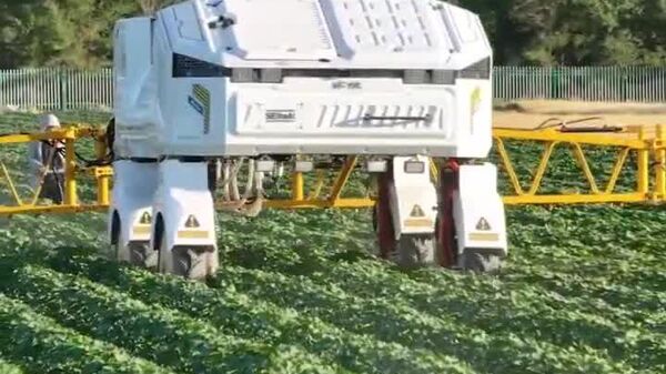 Robots Clock In: Machines Transform Cotton Farming in China - Sputnik Africa