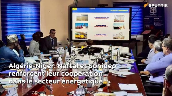 Des entreprises pétrolières algérienne et nigérienne développent des projets communs au Niger - Sputnik Afrique