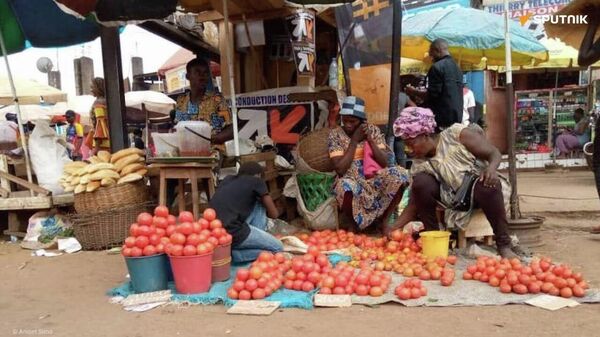 La production maraîchère explose au Burkina Fasso - Sputnik Afrique