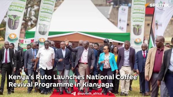 'We Are Moving Away From Export of Raw Coffee': Ruto - Sputnik Africa
