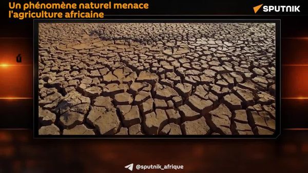 Alerte climatique: l'agriculture africaine sous la menace d'El Niño - Sputnik Afrique
