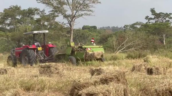 Zimbabwean Farmers Earn 1 - Sputnik Africa