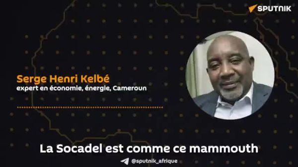 Pour sauver la Socadel, fleuron de l’électricité camerounaise, tout le monde doit payer, selon un expert - Sputnik Afrique