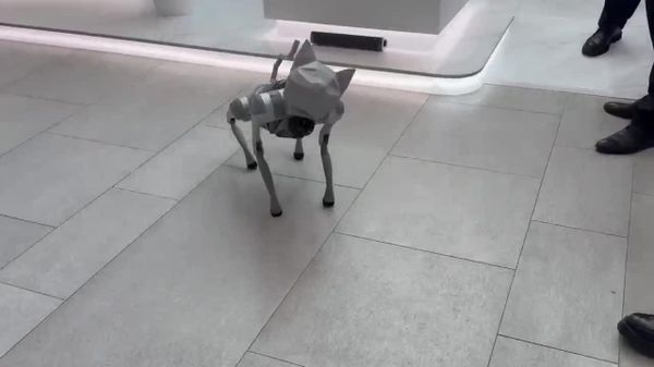 Un robot-chat remplace les robots-chiens au Forum juridique de Saint-Pétersbourg - Sputnik Afrique